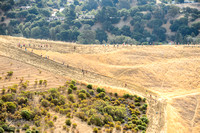 Femme Fit 2013, Event 1: Unknown Trail Run